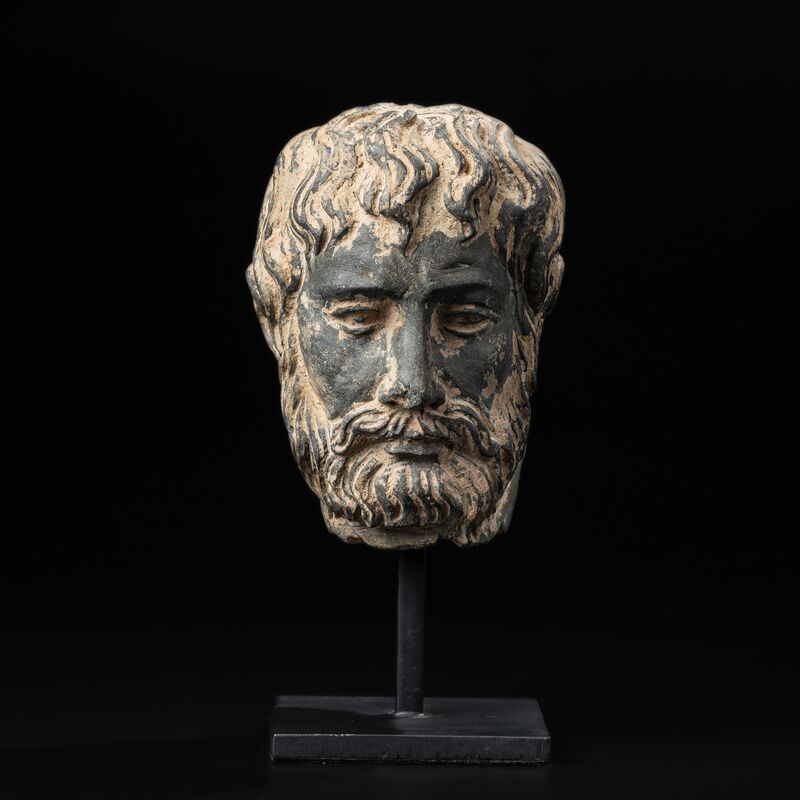Head of a Bearded Man with Curling Hair