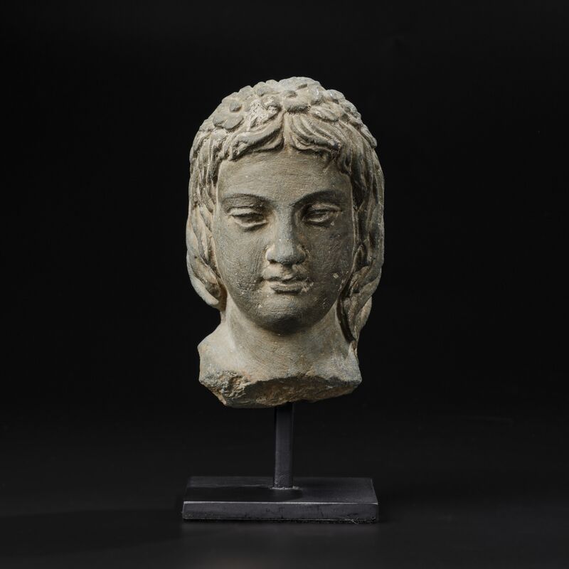 Head of a Youth with Curling Hair